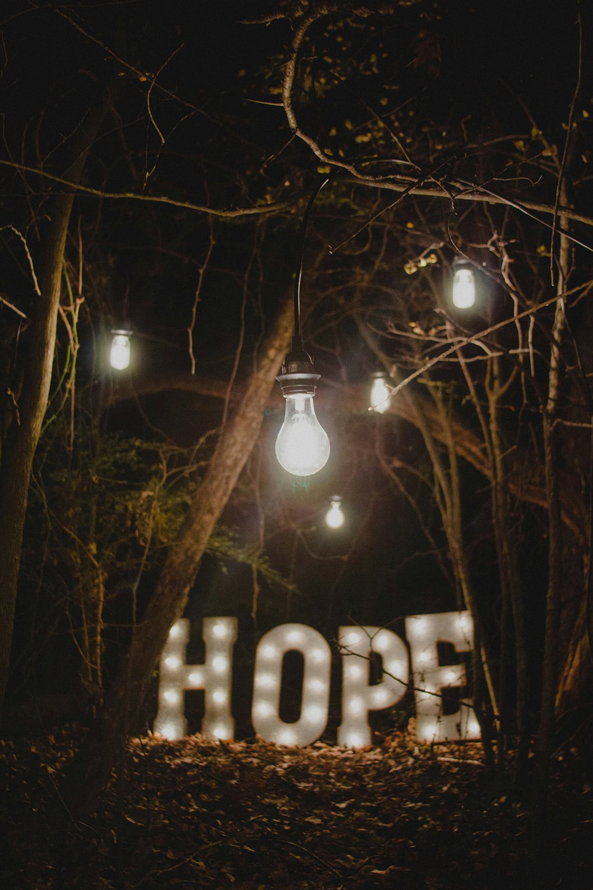 website pic - hope - ron-smith-63tBU8et1YY-unsplash